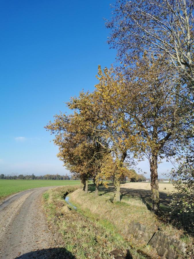 Heeser Hof - Urlaub Im Gruenen ヴェエツェ エクステリア 写真
